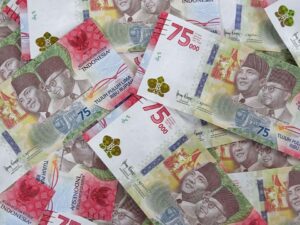 Agency Service Fee